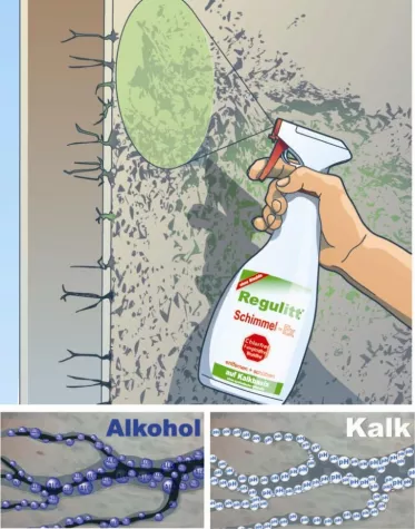 Bild: Schimmelfrei - dank Alkohol und Kalk