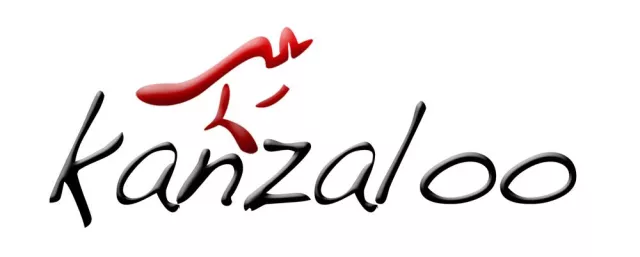 kanzaloo wird das All-in-One Paymenttool für die Games-Branche Bild: kanzaloo wird das All-in-One Paymenttool für die Games-Branche