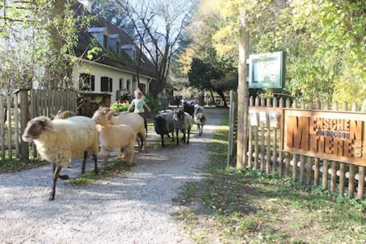 Bild: Aus für den Wörnbrunner Begegnungshof des Vereins Menschen brauchen Tiere e.V.