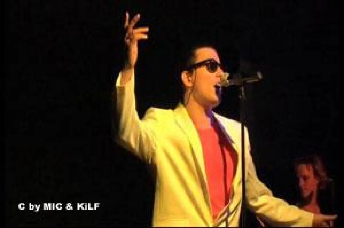 Hans-Peter Gill als FALCO LIVE in CONCERT
