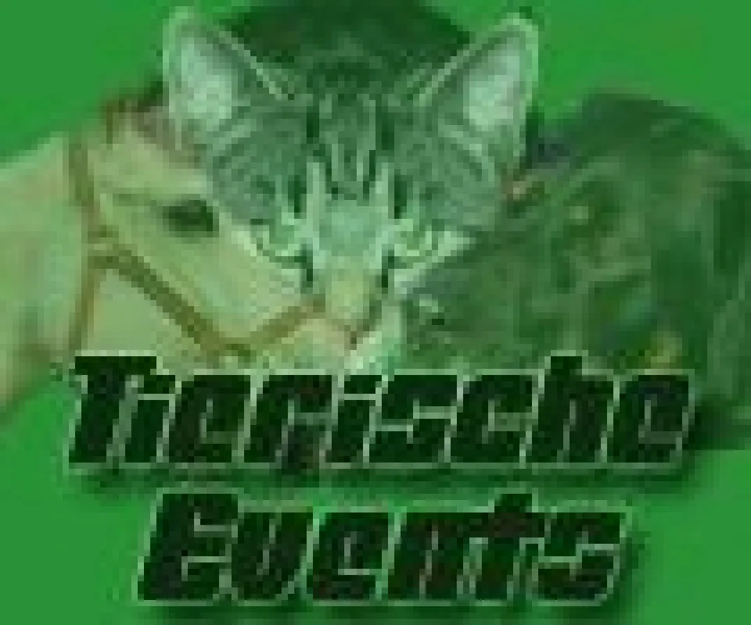 Internet-Portal Tierische Events