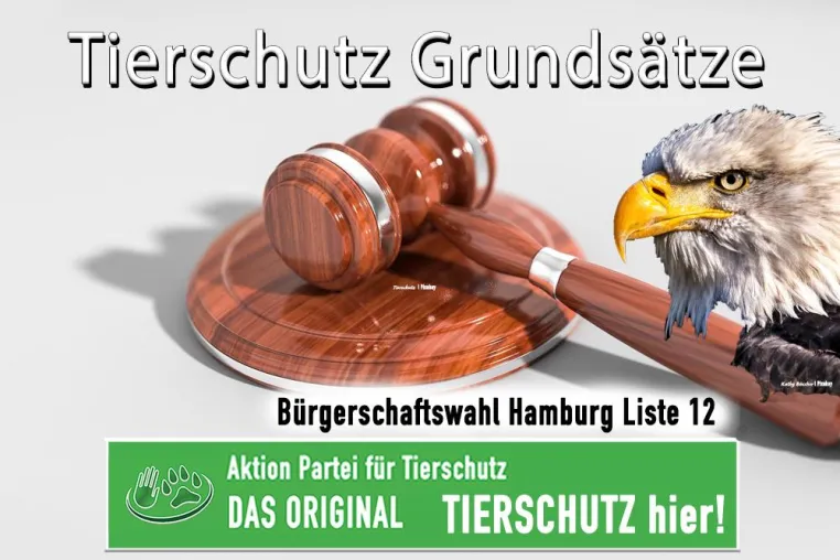 Grundsätze zum Tierschutz für Hamburg Bild: Grundsätze zum Tierschutz für Hamburg