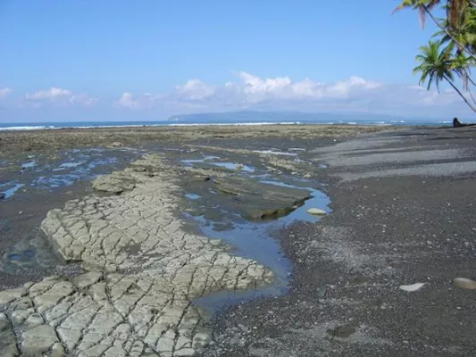 Bild: Einmaliges Ökosystem in Costa Rica in Gefahr. Geplante Thunfischfarm gefährdet Meeresschildkröten, Delfine und Wale