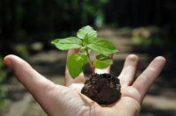 Bild: Nachhaltige Serviceverpackungen und Einweglösungen für Gastronomie, Imbiss und Lebensmittelhandel