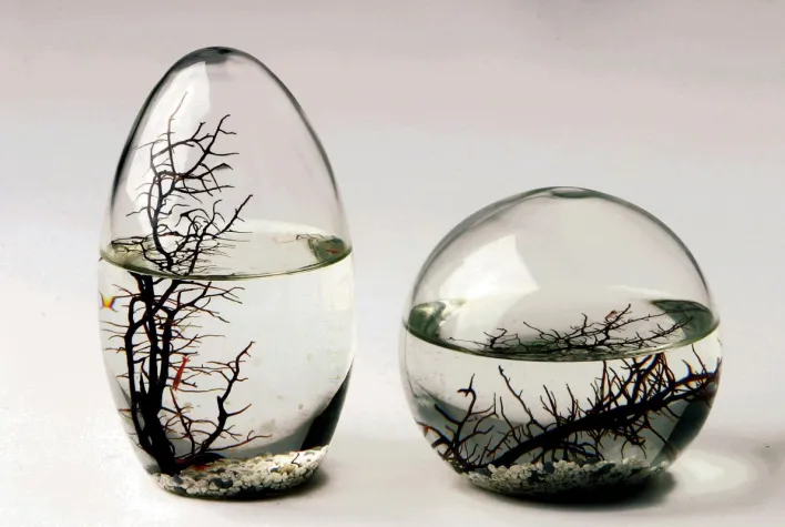 EcoSphere: Das Astronauten-Aquarium Bild: EcoSphere: Das Astronauten-Aquarium