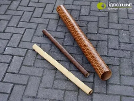 Innovatives Leichtbaukonzept aus Holz der TU Dresden erhält EXIST-Gründerstipendium Bild: Innovatives Leichtbaukonzept aus Holz der TU Dresden erhält EXIST-Gründerstipendium