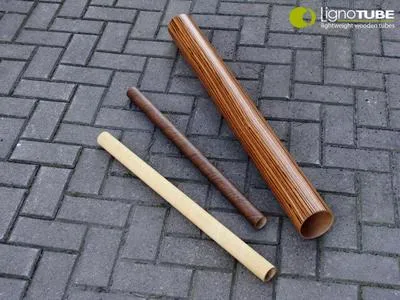 Bild: Innovatives Leichtbaukonzept aus Holz der TU Dresden erhält EXIST-Gründerstipendium