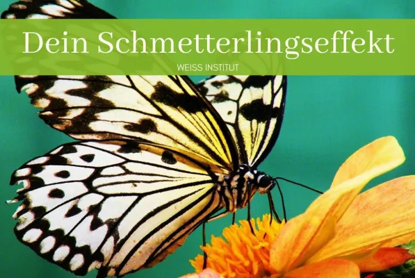 Bild: Weiss-Institut: Unsere Sehnsucht kann fliegen - mit dem Wind der Zuversicht