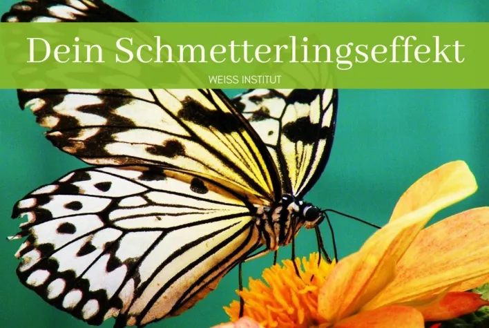 Bild: Weiss-Institut: Unsere Sehnsucht kann fliegen - mit dem Wind der Zuversicht