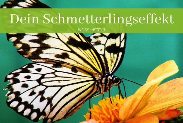 Weiss-Institut: Unsere Sehnsucht kann fliegen - mit dem Wind der Zuversicht Bild: Weiss-Institut: Unsere Sehnsucht kann fliegen - mit dem Wind der Zuversicht