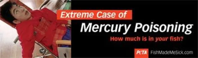 Quecksilbervergiftung durch Fischkonsum - PETA warnt Urlauber Bild: Quecksilbervergiftung durch Fischkonsum - PETA warnt Urlauber