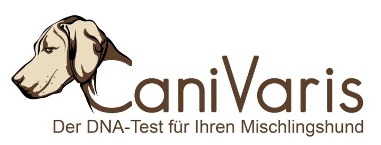 CaniVaris - Der DNA-Test für Mischlingshunde Bild: CaniVaris - Der DNA-Test für Mischlingshunde
