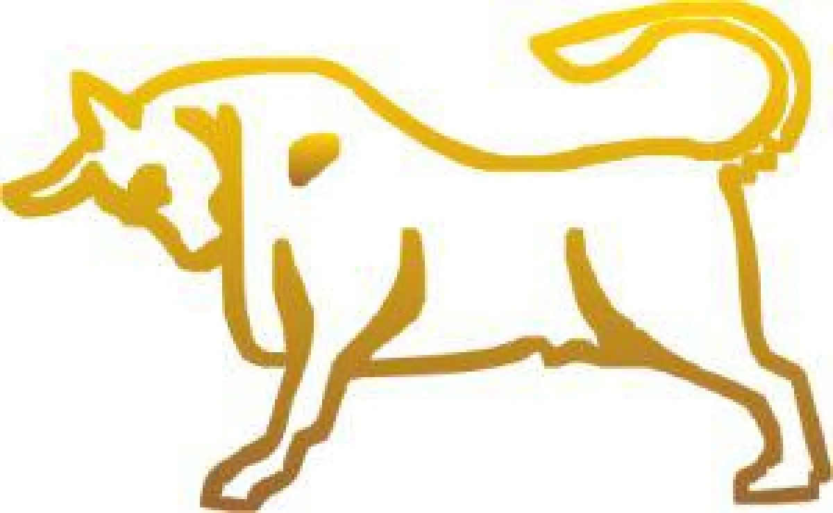 Taurus Precious Metal Group Dubai