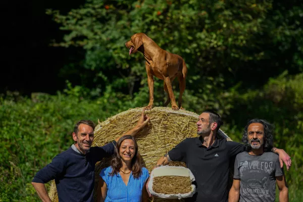 Bild: Die Menschen hinter strohmatratzen.de