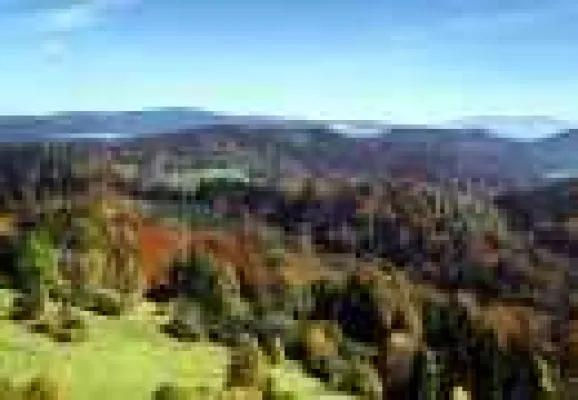 Bild: Heimatmuseum in Bayern feiert Jubiläum