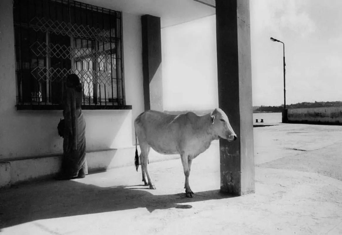 ANDAMAN # 20