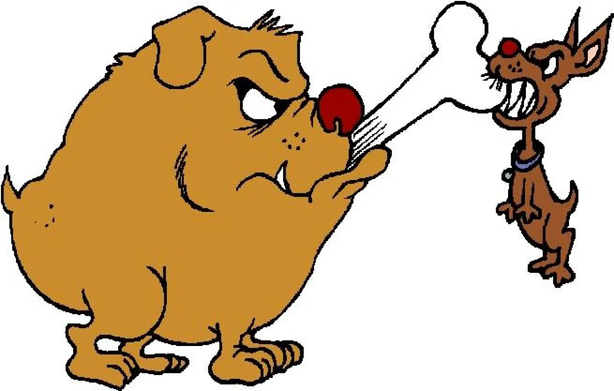 Hundeshop mit Eigenmarke - Trockenfutter für Hund
