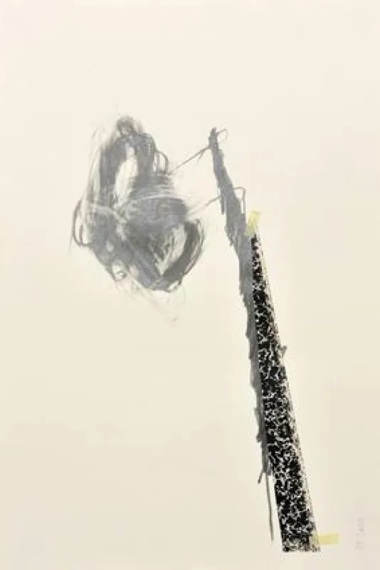 Ursula Steglich-Schaupp, o.T., 60 x 40 cm, Graphit/Collage