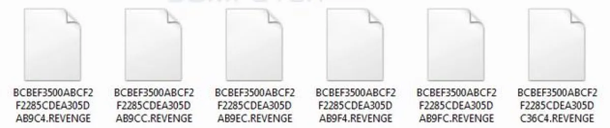 .revenge Ransom Verschlüsselung