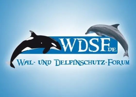Bild: Wal- und Delfinschutz-Forum (WDSF) kritisiert Schumacher der mit Delfinen schwimmt