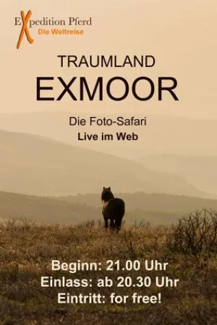 Bild: Traumland Exmoor - am 05.02.2014 Live im Web