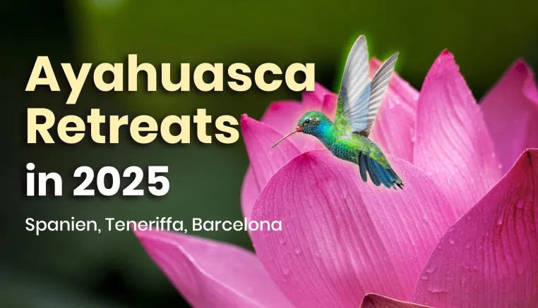 Bild: Einzigartige Erfahrungen bei Safe Spirit Ayahuasca Retreats auf Teneriffa und Barcelona