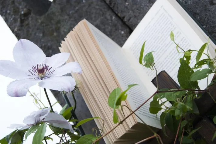 Bild: Bauen und Sprachen - Papierstil, schlimmer geht es kaum - von Heiko Brunzel, Kaufmann aus Velten