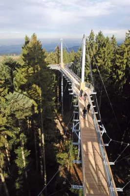 Bild: Auf dem „skywalk allgäu“ spazieren Groß und Klein über Hängebrücken zwischen Allgäuer Baumwipfeln