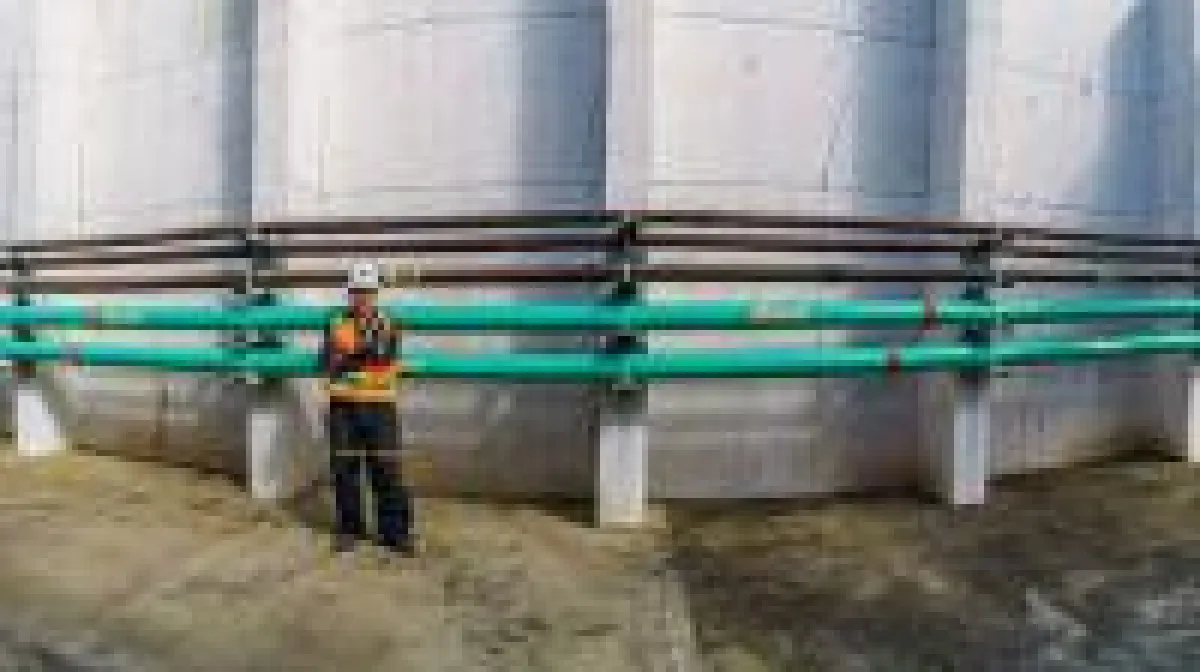 Quelle: Bluestone Resources