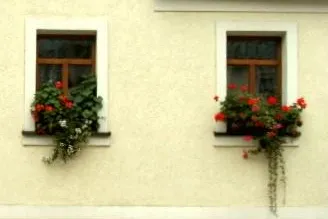 Wettbewerb für die 5. Sächsische Landesgartenschau 2009 Bild: Wettbewerb für die 5. Sächsische Landesgartenschau 2009