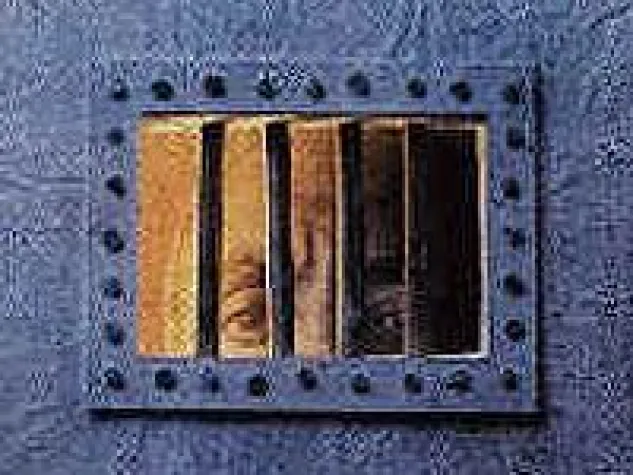 Bild: Projekt im Australischen Zoo: 4 Wochen freiwillig in den Affenknast