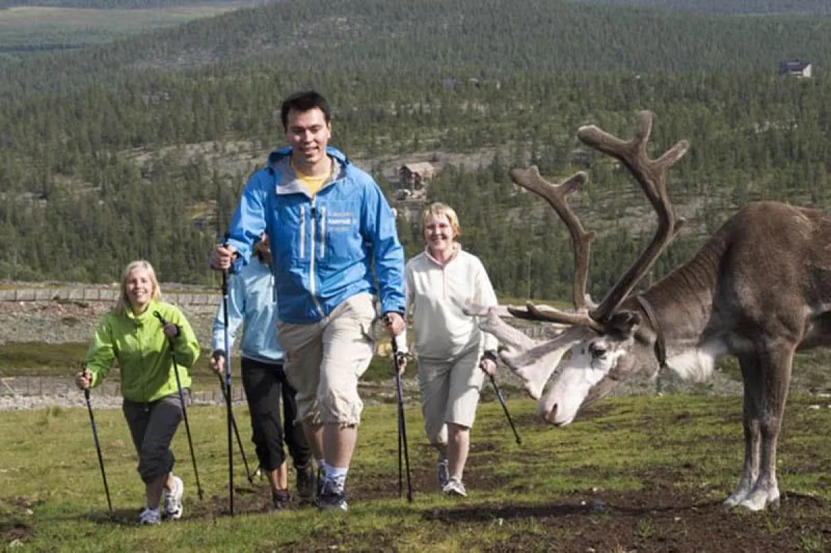 Nordic Walking in Lappland