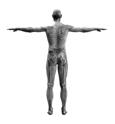 Bild: Rückenschmerzen adé – die CHIROMAS-Partnermethode bietet Hilfe zur Selbsthilfe