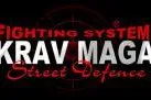 Bild: Seminarbericht Amir Perets bei Krav-Maga Street Defence Essen