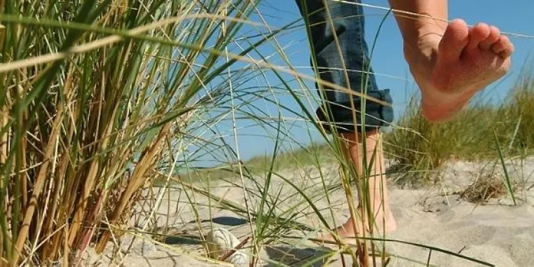 Bild: Schönhagen/Ostsee seit 2005 mit GLC touristisch auf Erfolgskurs