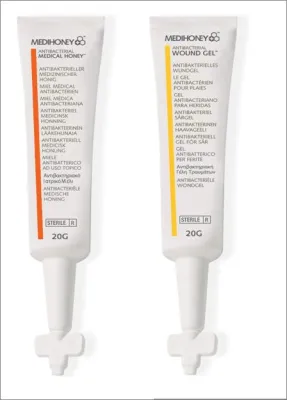 Bild: Vortrag über Medihoney™ Medizinischer Honig auf dem 10. Bad Kissinger Kongress