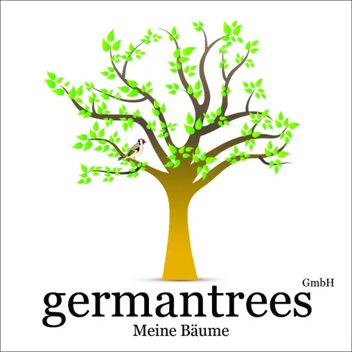 Bild: germantrees GmbH – Nachhaltige Baumzucht für erstklassige Holzprodukte und vielseitige Rohstoffe