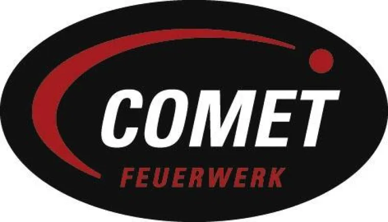 Bild: Silvester-Helden 2009 gesucht