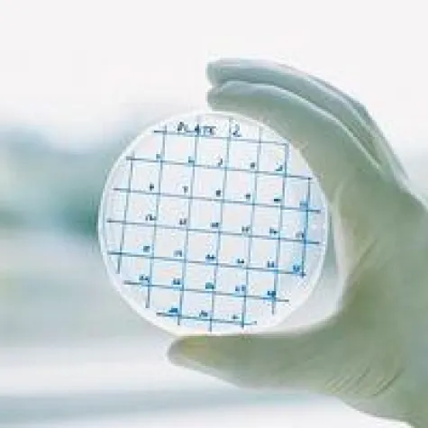 Bild: In Berlin - „Zukunftskonferenz Biotechnologie“