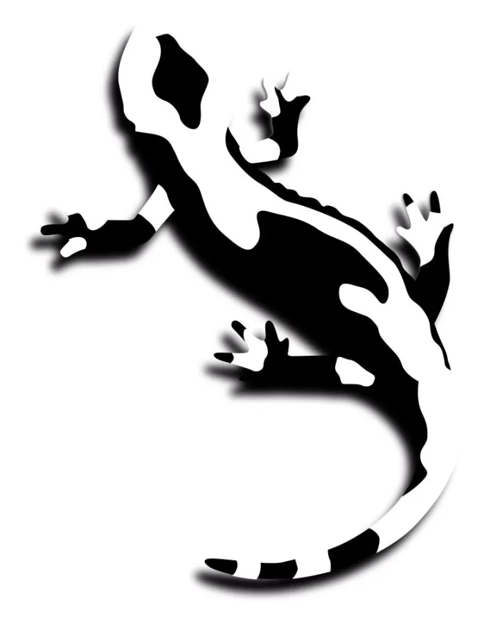 Der Salamander - Symbol für natürliche Thermoregulation