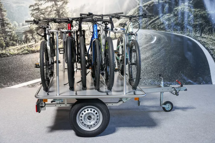 e-bike 750 watt 85 nm trekking Advanced Trekking Pro Wave E-Bike Gebraucht | Generalberholt