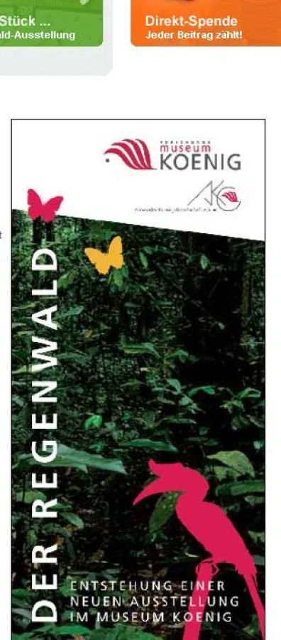 Regenwald-Ausstellung wird durch Forest Finance unterstützt
