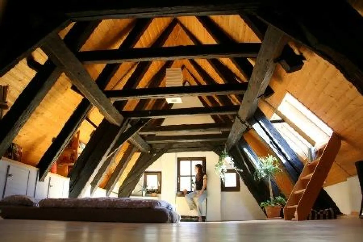 Bild: tdx/M-Therm