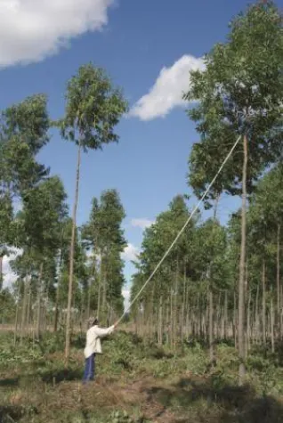 Bild: Miller Forest füllt Produktnische auf der DKM