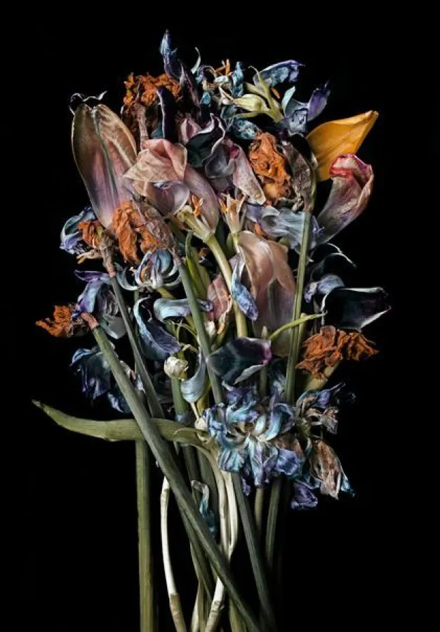 (c) Galerie Norbert Nieser