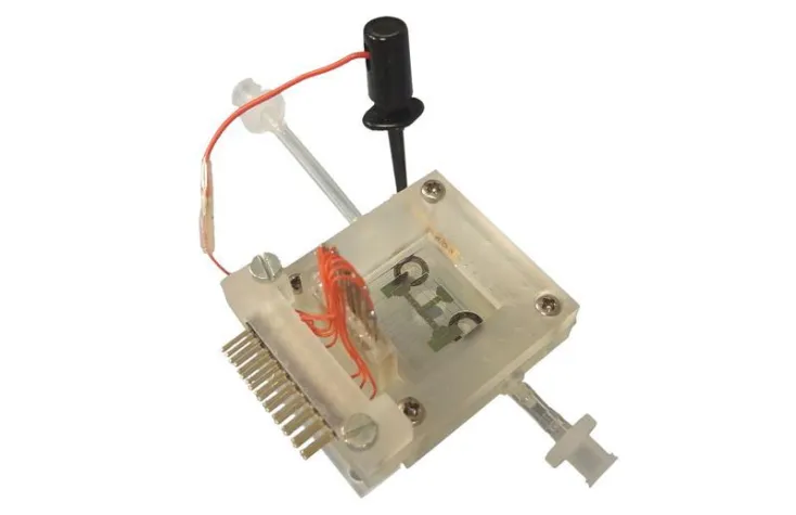 Bild: Ein starkes Team