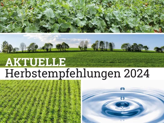 Bild: Wertvolle Anbau-Tipps für die Vorwinterentwicklung wichtiger Kulturen