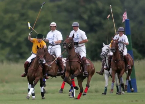 Bild: Das Sportevent des Jahres - Deutsche Polomeisterschaften 2005