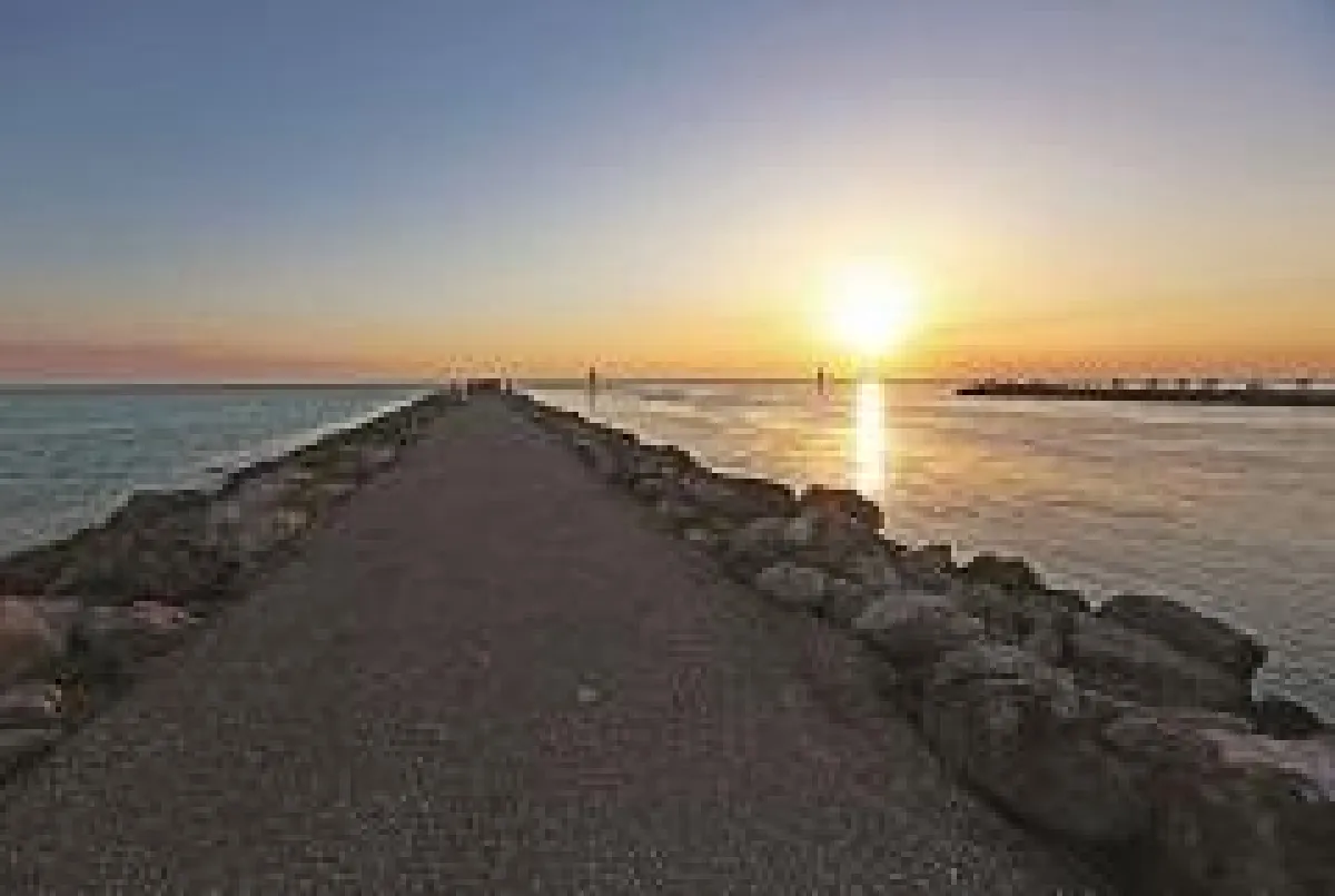 Young Venice © Courtesy of Visit Sarasota County