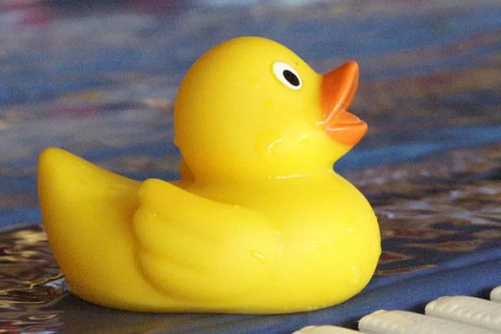 Informationsportal über Thermen in ganz Bayern geht an den Start Bild: Informationsportal über Thermen in ganz Bayern geht an den Start